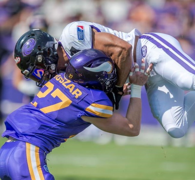 Niko Huszar, Vienna Vikings