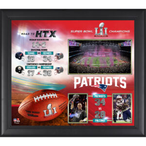 New England Patriots – gerahmte Collage der Super Bowl LI Champions, 15 x 17 Zoll