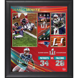 James White New England Patriots Gerahmte 15″ x 17″ Super Bowl LI Champions Collage