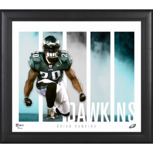 Brian Dawkins Philadelphia Eagles Gerahmte 15″ x 17″ Spielerpanel-Collage