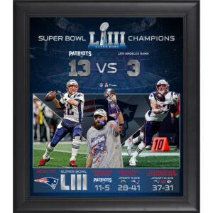 New England Patriots – Gerahmte 15 x 17 Zoll große Collage des Super Bowl LIII Champions-Teams