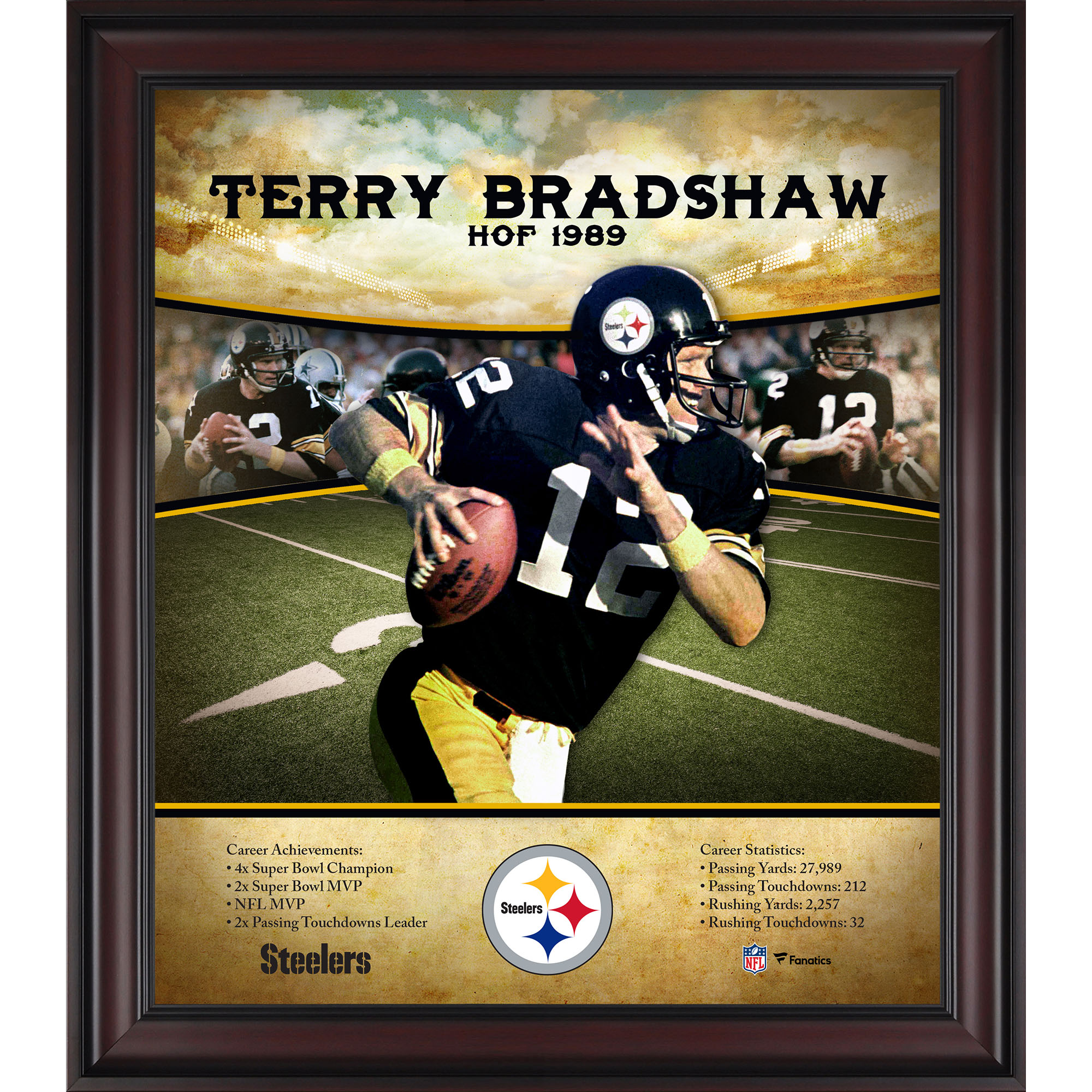 Terry Bradshaw Pittsburgh Steelers gerahmt 15″ x 17″ Hall of Fame Karriereprofil