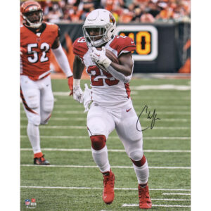 Autogrammfoto von Chase Edmonds, Arizona Cardinals, 16 x 20 Zoll