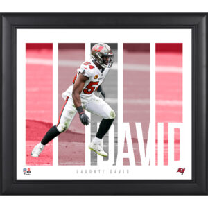 Lavonte David Tampa Bay Buccaneers Gerahmte 15″ x 17″ Spielerpanel-Collage