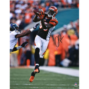 Autogrammfoto von Chad Johnson (Cincinnati Bengals), 16 x 20 Zoll, schwarzes Trikot, beim Fangen