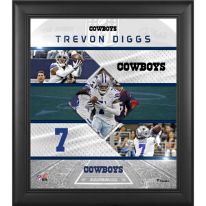 Trevon Diggs Dallas Cowboys Gerahmte Collage mit genähten Sternen, 15 x 17 Zoll