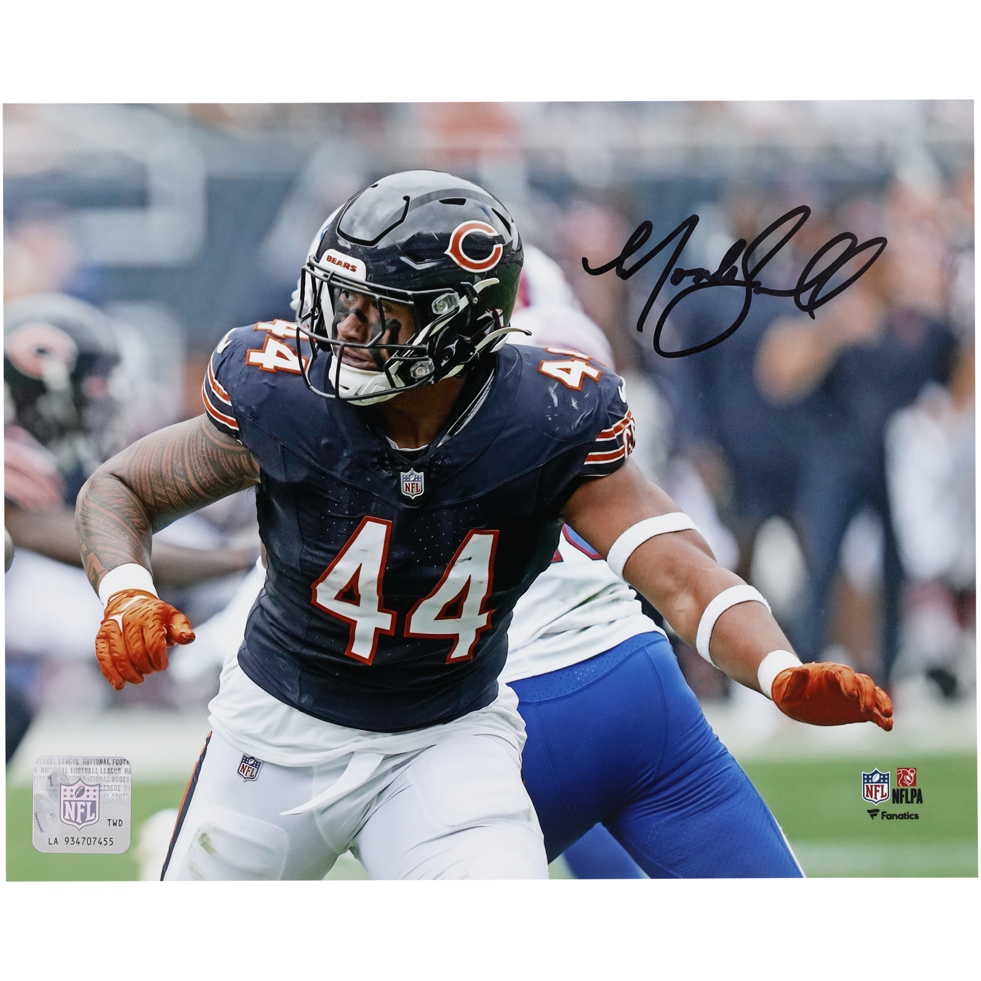 Noah Sewell Chicago Bears signiertes Actionfoto im Querformat, 20,3 x 25,4 cm