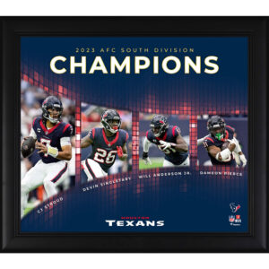 Houston Texans 2023 AFC South Division Meister-Collage, 15 x 17 Zoll