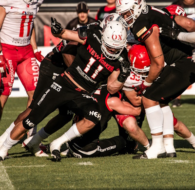 New Yorker Lions Braunschweig vs. Potsdam Royals